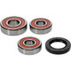 Pivot Works Honda Wheel Bearing Kit Premium Bearings - 25-1362-P Photo - Primary