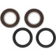 Pivot Works Suzuki Wheel Bearing Kit Premium Bearings - 25-1363-P Photo - Primary