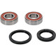 Pivot Works Husqvarna Wheel Bearing Kit Premium Bearings - 25-1413-P Photo - Primary