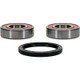 Pivot Works Gas-Gas, Husqvarna Wheel Bearing Kit Premium Bearings - 25-1417-P Photo - Primary