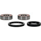 Pivot Works Husqvarna Wheel Bearing Kit Premium Bearings - 25-1427-P Photo - Primary