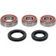Pivot Works Gas-Gas, Rieju Wheel Bearing Kit Premium Bearings - 25-1458-P Photo - Primary