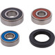Pivot Works Suzuki Wheel Bearing Kit Premium Bearings - 25-1487-P Photo - Primary