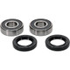Pivot Works BMW, Honda Wheel Bearing Kit Premium Bearings - 25-1491-P Photo - Primary