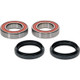 Pivot Works Yamaha Wheel Bearing Kit Premium Bearings - 25-1508-P Photo - Primary