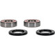 Pivot Works Honda Wheel Bearing Kit Premium Bearings - 25-1511-P Photo - Primary