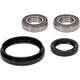 Pivot Works Honda Wheel Bearing Kit Premium Bearings - 25-1521-P Photo - Primary