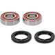 Pivot Works Honda Wheel Bearing Kit Premium Bearings - 25-1539-P Photo - Primary