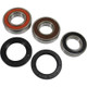 Pivot Works Yamaha Wheel Bearing Kit Premium Bearings - 25-1547-P Photo - Primary