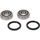 Pivot Works TM Wheel Bearing Kit Premium Bearings - 25-1548-P Photo - Primary