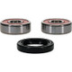 Pivot Works Honda Wheel Bearing Kit Premium Bearings - 25-1554-P Photo - Primary