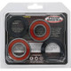 Pivot Works Can-Am, Eton, Yamaha Wheel Bearing Kit Premium Bearings - 25-1566-P Photo - Primary