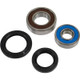 Pivot Works Honda Wheel Bearing Kit Premium Bearings - 25-1576-P Photo - Primary