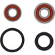 Pivot Works Honda Wheel Bearing Kit Premium Bearings - 25-1602-P Photo - Primary