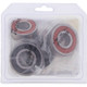 Pivot Works Cagiva, Honda Wheel Bearing Kit Premium Bearings - 25-1605-P Photo - Primary
