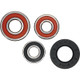 Pivot Works Suzuki Wheel Bearing Kit Premium Bearings - 25-1610-P Photo - Primary