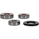 Pivot Works Suzuki Wheel Bearing Kit Premium Bearings - 25-1610-P Photo - Primary
