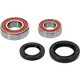 Pivot Works Yamaha Wheel Bearing Kit Premium Bearings - 25-1613-P Photo - Primary