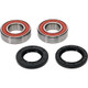Pivot Works BMW Wheel Bearing Kit Premium Bearings - 25-1648-P Photo - Primary