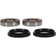 Pivot Works Yamaha Wheel Bearing Kit Premium Bearings - 25-1660-P Photo - Primary