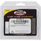 Pivot Works Polaris Wheel Bearing Kit Premium Bearings - 25-1667-P Photo - Primary