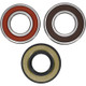 Pivot Works Polaris Wheel Bearing Kit Premium Bearings - 25-1667-P Photo - Primary