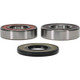 Pivot Works Polaris Wheel Bearing Kit Premium Bearings - 25-1667-P Photo - Primary