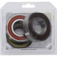 Pivot Works Polaris Wheel Bearing Kit Premium Bearings - 25-1667-P Photo - Primary