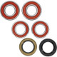 Pivot Works BMW Wheel Bearing Kit Premium Bearings - 25-1673-P Photo - Primary
