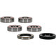 Pivot Works BMW Wheel Bearing Kit Premium Bearings - 25-1673-P Photo - Primary