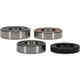 Pivot Works Yamaha Wheel Bearing Kit Premium Bearings - 25-1720-P Photo - Primary