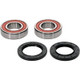 Pivot Works Odes Wheel Bearing Kit Premium Bearings - 25-1732-P Photo - Primary