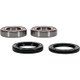 Pivot Works Odes Wheel Bearing Kit Premium Bearings - 25-1733-P Photo - Primary