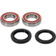 Pivot Works Odes Wheel Bearing Kit Premium Bearings - 25-1733-P Photo - Primary