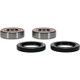 Pivot Works Can-Am Wheel Bearing Kit Premium Bearings - 25-1738-P Photo - Primary