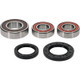 Pivot Works Suzuki Wheel Bearing Kit Premium Bearings - 25-1749-P Photo - Primary