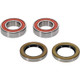 Pivot Works BMW Wheel Bearing Kit Premium Bearings - 25-1750-P Photo - Primary