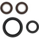 Pivot Works Suzuki Wheel Bearing Kit Premium Bearings - 25-1753-P Photo - Primary