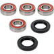 Pivot Works Honda Wheel Bearing Kit Premium Bearings - 25-1777-P Photo - Primary