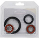 Pivot Works Kawasaki Wheel Bearing Kit Premium Bearings - 25-1785-P Photo - Primary