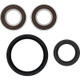 Pivot Works Kawasaki Wheel Bearing Kit Premium Bearings - 25-1786-P Photo - Primary