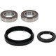 Pivot Works Kawasaki Wheel Bearing Kit Premium Bearings - 25-1786-P Photo - Primary