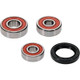Pivot Works Honda Wheel Bearing Kit Premium Bearings - 25-1793-P Photo - Primary