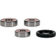 Pivot Works Honda Wheel Bearing Kit Premium Bearings - 25-1793-P Photo - Primary