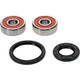 Pivot Works Honda Wheel Bearing Kit Premium Bearings - 25-1796-P Photo - Primary