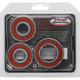Pivot Works Honda Wheel Bearing Kit Premium Bearings - 25-1797-P Photo - Primary