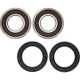 Pivot Works Yamaha Wheel Bearing Kit Premium Bearings - 25-1799-P Photo - Primary