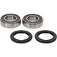 Pivot Works Yamaha Wheel Bearing Kit Premium Bearings - 25-1799-P Photo - Primary