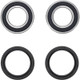 Pivot Works  Eton IXL-40 Rascal PW Rear Wheel Bearing Kit - PWRWK-Y77-000 Photo - Primary