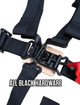 PRP 4.3 Harness - New Glory - SB4.3NG Photo - Close Up